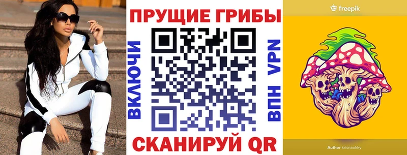 Купить закладки  Тайшет  Галлюциногенные грибы Cubensis 