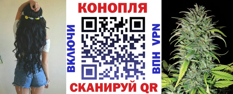 Купить где  Тайшет  Канабис Amnesia 